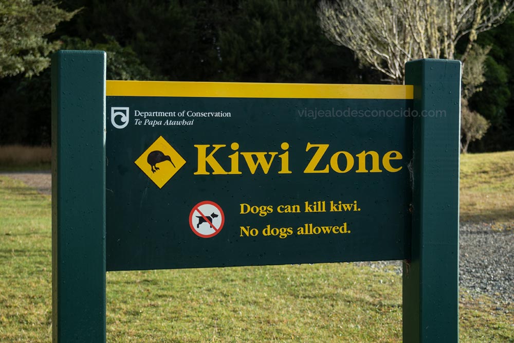 Kiwi Zone Nueva Zelanda