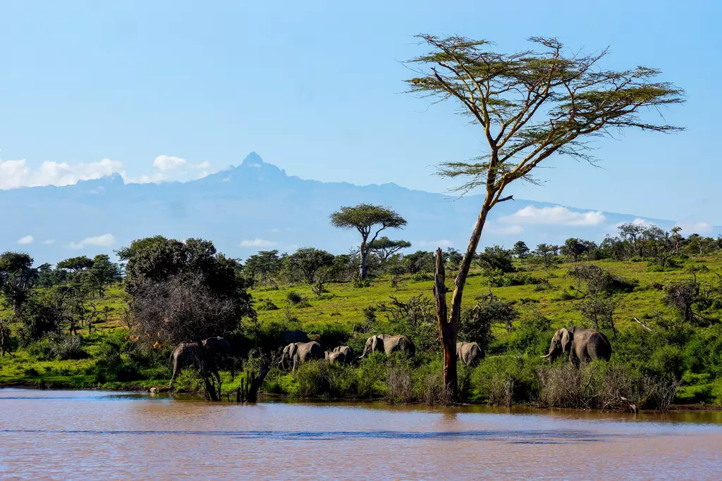 Monte Kenya